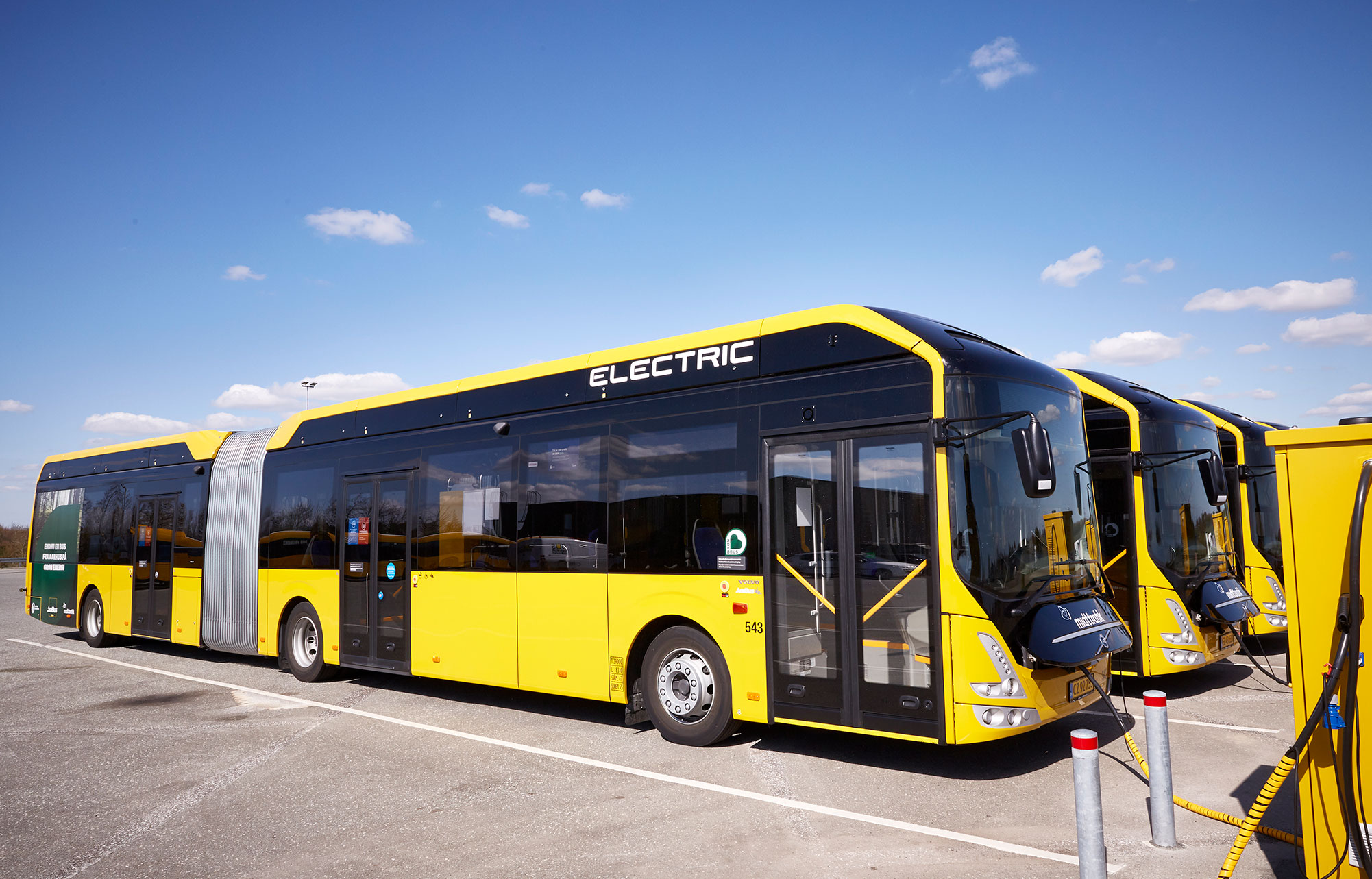 Grüne Bus